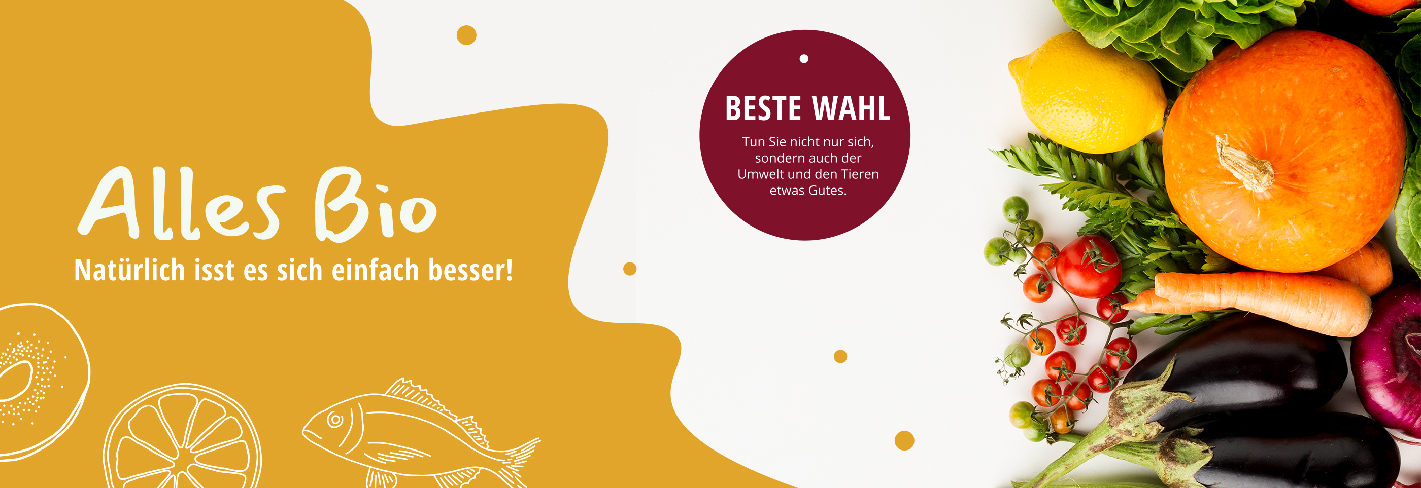 0/HomeBanner/128_mega Kopie.jpg